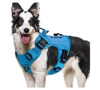 Harnais pour chien de petite à grande taille, bandes réfléchissantes, sangle de poitrine, gilet à mâcher pour tireurs agressifs, équipement de marche, harnais pour chien de grande taille