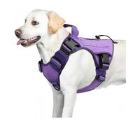 Harnais pour chien de petite à grande taille, bandes réfléchissantes, sangle de poitrine, gilet à mâcher pour tireurs agressifs, équipement de marche et d'entraînement pour chien