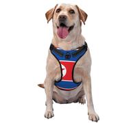 Harnais pour chien de petite, moyenne et grande taille avec motif drapeau de la Corée du Nord - Durable, ne tire pas avec sangles réfléchissantes et boucles à dégagement rapide XL