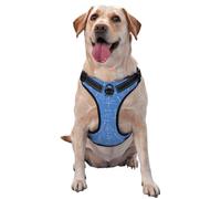 Harnais pour Chien de Petite, Moyenne et Grande Taille, Facile à Promener, Bleu, imprimé mathématique, sans Traction, réglable, Respirant, réfléchissant, Gilet pour Chien, pour l'entraînement, la m