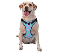 Harnais pour Chien de Petite, Moyenne et Grande Taille, Facile à Promener, Motif Canard Mignon, Rose, Anti-Traction, réglable, Respirant, réfléchissant, Gilet pour Chien, pour l'entraînement, la ma