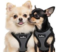 Harnais pour chien de petite taille - Anti-éclatement - Réglable et léger - Sans traction par la tête - Gris/noir - Pour Maltais, bolonka, Jack Russel Terrier (S/M)