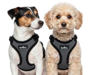 Harnais pour chien de petite taille - Anti-éclatement - Réglable et léger - Sans traction par la tête - Gris/noir - Pour Maltais, bolonka, Jack Russel Terrier (S/M)