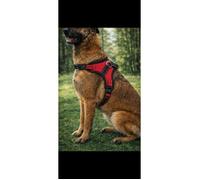 Harnais pour Chien De Taille L(Buste 62-77cm) Respirant et Réfléchissant - Réglable Anti-Traction Anti-Étranglement avec Poignée