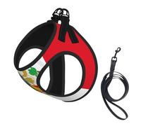 Harnais pour chien de taille moyenne avec motif drapeau du Pérou réglable pour chats et chiens, parfait pour les promenades en plein air