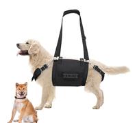 Harnais pour chien de taille moyenne - Harnais pour chien avec levier de commande - Laisse supplémentaire - Harnais de poignée pour animaux de compagnie sans - Convient pour les chiens de