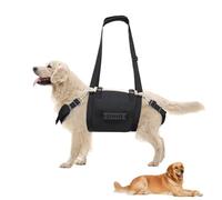 Harnais pour chien de taille moyenne - Harnais pour une promenade facile, une prise en main, une ceinture auxiliaire, une promenade pour les petits, moyens et grands