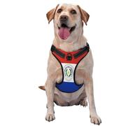 Harnais pour chien Drapeau du Paraguay pour chiens de petite, moyenne et grande taille, gilet respirant réglable avec boucles à dégagement rapide