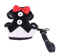 Harnais pour Chien élégant avec nœud Papillon, Corde de Traction, Harnais réglable pour Chiens de Petite et Moyenne Taille, Poitrine de Chat (Noir M)