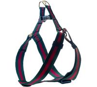 Harnais pour chien élégant et élégant, durable, doux pour le cou et la poitrine, harnais de luxe pour chien de taille moyenne