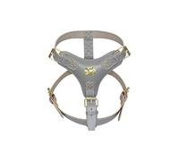 Harnais pour chien en cuir gris extra large avec fixations dorées et motif tête de taureau américain
