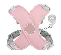 Harnais pour Chien en Forme de X, Ensemble Gilet et Laisse pour Petits Chiens Meidum, Harnais réfléchissant pour Chiot et Chat, Maille Respirante (Rose S)