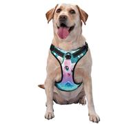 Harnais pour chien en forme d'étoile de mer en ballon d'eau pour chiens de petite, moyenne et grande taille - Sangles réfléchissantes, ajustement réglable avec boucles à dégagement rapide
