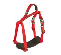 Harnais pour chien en nylon Duvoplus Explor North Rouge 100x2,5x1 cm