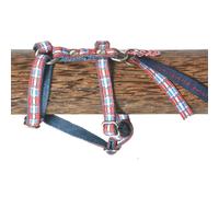 Harnais pour chien en nylon Image Dog Save Bleu L (25/70-90 cm)
