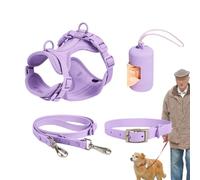 Harnais pour chien en PVC imperméable réfléchissant réglable | Laisse imperméable pour la marche active canine jogging, marche, entraînement, randonnée, course à pied