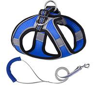Harnais pour Chien, Ensemble de laisses for Chiots, Harnais en Maille, Laisse rembourrée Souple for Petits Chiens et Chats, Gilet, Accessoires for DS(E,M)