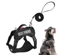 Harnais pour chien : ensemble de veste en antidérapante pour l'extérieur, enveloppement de fixation avec bande de sécurité réfléchissante, combinaison de laisse d'entraînement avec contrôle de