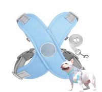 Harnais pour chien | Ensemble harnais anti-fugue - Accessoires rembourrés confortables pour animal domestique pour voiture, voyage, entraînement en plein air, randonnée, marche