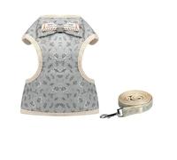 Harnais pour Chien Ensemble Harnais et Laisse pour Chien Harnais de Gilet pour Chat avec nœud Papillon en Maille rembourrée laisses pour Animaux de Compagnie pour Petits Chiens Chiot (4 M)