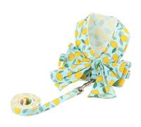 Harnais pour Chien Ensemble Harnais et Laisse Respirants pour Chien avec nœud Floral et vêtements pour Chat pour Chiens de Petite et Moyenne Taille (Vert Fruit L 5_6 kg)