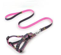 Harnais pour Chien, Ensemble Laisse et Harnais for Animaux de Compagnie, Ensemble réglable for Chien, Gilet for, Taille S, M, L, for la Marche Le Dressage du(Pink,M)