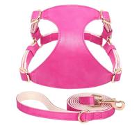 Harnais pour Chien Et Chat en Cuir PU Souple, Ensemble Harnais Et Laisse Réglables pour Dressage De Chien, Camping, Chasse, pour Chiens De Petite Et Moyenne Taille, Chats, Chihuahua, Carlin,Rose,