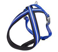 Harnais pour Chien Ferplast Daytona Cross, Harnais pour Grands Chiens en Nylon, Harnais Chien Reimburré, Réfléchissant et Réglable Boucle Magnétique, Bleu