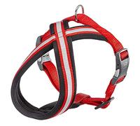 Harnais pour Chien Ferplast Daytona Cross, Harnais pour Petits Chiens en Nylon, Harnais Chien Reimburré, Réfléchissant et Réglable Boucle Magnétique, Rouge