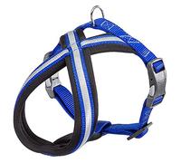 Harnais pour Chien Ferplast Daytona Cross, Harnais pour Petits Chiens en Nylon, Harnais Chien Reimburré, Réfléchissant et Réglable Boucle Magnétique, Bleu