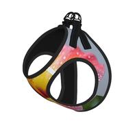 Harnais pour chien Flowers In Bloom - Respirant, réfléchissant et réglable - Convient aux petits chats et chiens