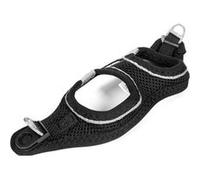 Harnais pour Chien Gloria Air Mesh Star Taille XXS 2426 cm Noir Noir G