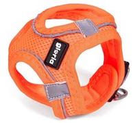 Harnais pour Chien Gloria Air Mesh Trek Star Réglable L 33 435 cm Orange Orange G