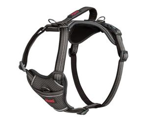Harnais pour Chien HALTI Anatomy avec poignée - Offre à Votre Chien Une liberté de Mouvement pour Une Promenade Confortable. 3 Points d’Attache, Réglable et Réfléchissante (Taille L, Gris)
