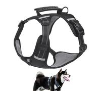 Harnais pour Chien, Harnais Anti-Évasion avec Bandes Réfléchissantes, Corde pour Chien de Petite Taille, pour Le VTT, La Randonnée, L'Entraînement, Le Camping, Le Voyage, Le