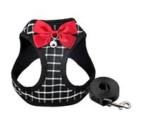 Harnais pour Chien Harnais et Laisse pour Animaux de Compagnie Mignons Ensemble Sangle pour Chien Chat pour Harnais pour Animaux de Compagnie Gilet pour Petit Animal Chihuahua Teddy Chiens (Noir M)