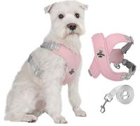 Harnais pour chien Harnais pour chien, harnais de poitrine pour animaux domestiques, gilet pour chien avec laisse M