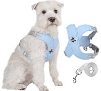 Harnais pour chien Harnais pour chien, harnais de poitrine pour animaux domestiques, gilet pour chien avec laisse M