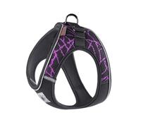 Harnais pour Chien Harnais pour Chien réfléchissant sans Traction pour Animaux de Compagnie pour Petits et Moyens Chiens, Gilet rembourré Respirant (Violet XS 35_42 cm Poitrine)