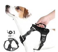 Harnais Pour Chien - Harnais Sans Traction, Ensemble De Laisse Pour Chien, Gilet De Laisse Pour Animaux De Compagnie Avec Lumière LED Et Demi-poignée, Corde Ronde De 1,5 M, Résistant Aux Chocs, Antidé