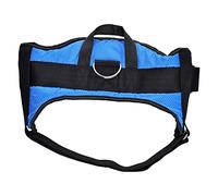 Harnais pour Chien Hearts & Homies Bleu Taille L (Référence : S5002250)
