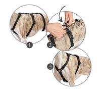 Harnais pour Chien Hunter 48-70 cm Noir S/M