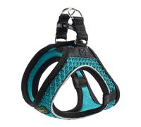 Harnais pour Chien Hunter Hilo Comfort 55-60 cm Taille M Turquoise