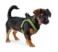 Harnais pour Chien Hunter Hilo-Comfort Citron S/M (48-55 cm)