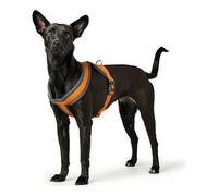 Harnais pour Chien Hunter London Comfort 39-47 cm Orange XS/S