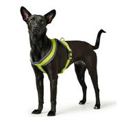 Harnais pour Chien Hunter London Comfort XS-S 39-47 cm Citron