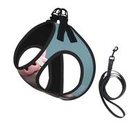 Harnais pour chien imprimé cochon de dessin animé, 2 boucles, gilet pour chien, clip avant anti-traction, pour chiens de petite et moyenne taille