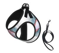 Harnais pour chien imprimé danseuse de ballet, 2 boucles, gilet pour chien, clip de laisse avant anti-traction, pour chiens de petite et moyenne taille