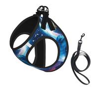Harnais pour chien imprimé dauphins galaxie, 2 boucles, gilet pour chien, clip avant anti-traction pour laisse pour chiens de petite et moyenne taille