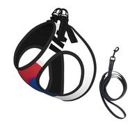 Harnais pour chien imprimé drapeau de la République de Corée, gilet laisse réglable et réfléchissant, pour chiens de petite et moyenne taille